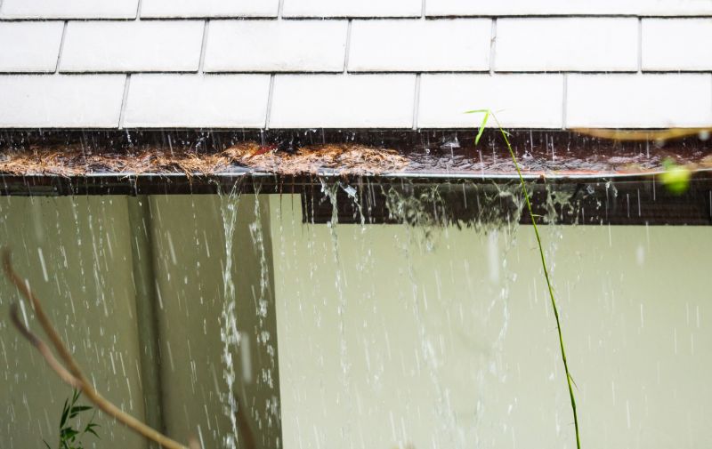 Gutter Blockage Removal in Longmont, CO