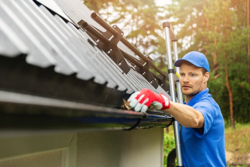 Gutter Cleaning in Richmond, VA
